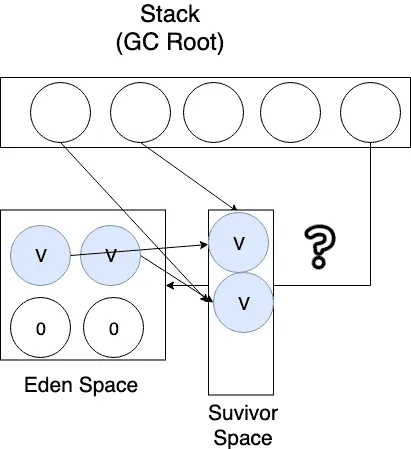 생존한 모든 객체(mark 당한 객체)는 Survivor Space로 복사한다.