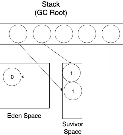 이제 Eden Space의 공간 확보가 됐으니 새롭게 생성된 객체를 Eden Space에 할당한다.