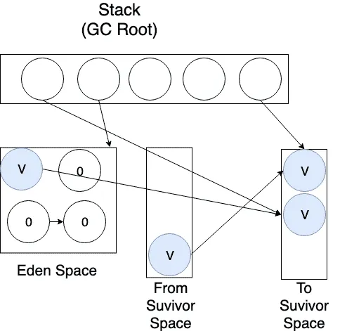 이 때 From Survivor Space에서 생존한 모든 객체들을 To Survivor Space의 연속된 공간에 먼저 옮기고, 그 후에 Eden Space에서 생존한 객체를 To Survivor Space의 연속된 공간에 옮긴다.
