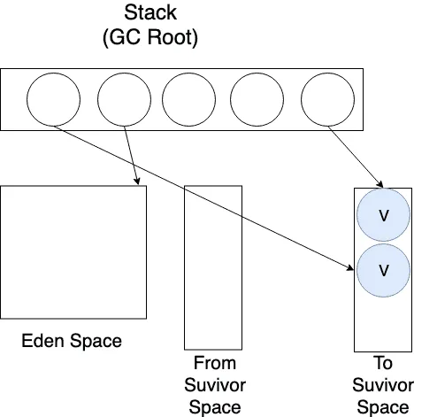 생존한 모든 객체를 옮겼으므로 From Survivor Space와 Eden Space를 비운다.