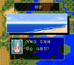 v1.0: 해변에서 바다를 반기는 바다거북과 부르마 (3/3)