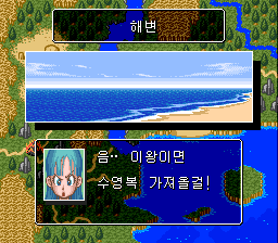 v1.1: 해변에서 바다를 반기는 바다거북과 부르마 (3/3)