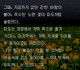 빗속에 노란 꽃이 흔들리는 정원 위로 문장이 가득 쓰인 화면